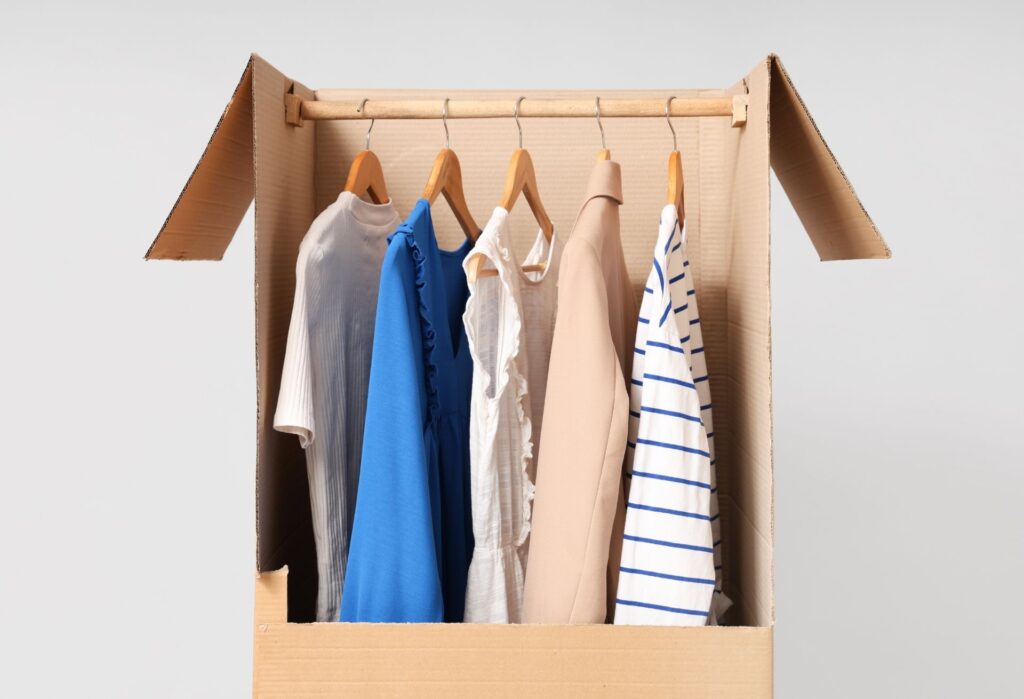 Wardrobe Storage Boxes