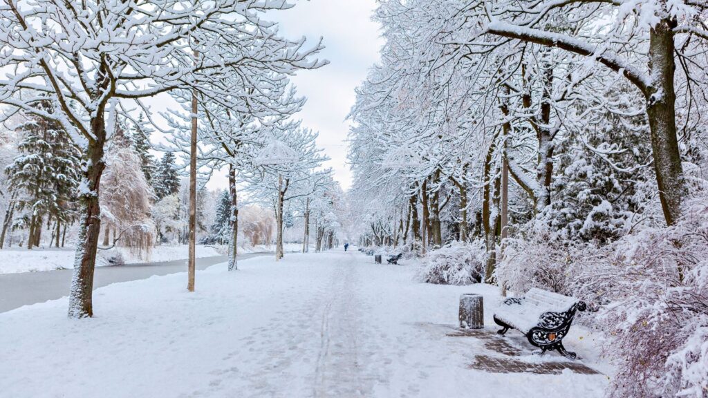 Prepare your home for winter with Blue Box Storage in Doncaster