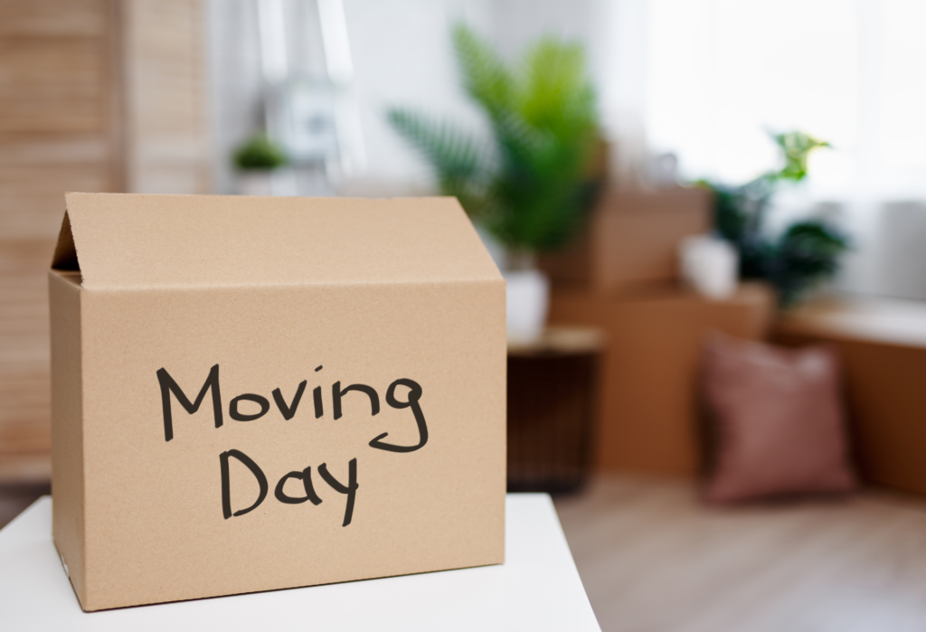 Moving Day Boxes